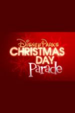 Watch Disney Parks Magical Christmas Day Parade Goojara