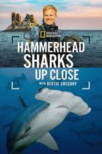 Watch Hammerhead Sharks Up Close with Bertie Gregory Goojara