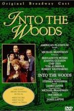 Watch Into the Woods Goojara