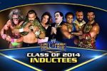 Watch WWE Hall of Fame Goojara