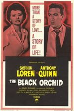 Watch The Black Orchid Goojara