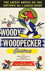 Watch The Woody Woodpecker Polka Goojara