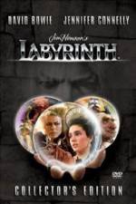 Watch Labyrinth Goojara