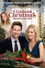 Watch A Godwink Christmas: Meant for Love Goojara