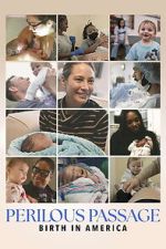 Watch Perilous Passage: Birth in America Goojara