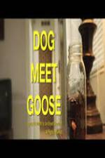 Watch Dog Meet Goose Goojara