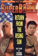 Watch WCW SuperBrawl I Goojara
