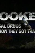 Watch Hooked: Illegal Drugs and How They Got That Way - Cocaine Goojara