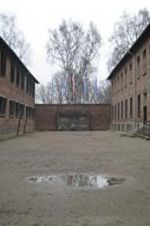 Watch Made in Auschwitz: The Untold Story of Block 10 Goojara