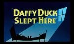 Watch Daffy Duck Slept Here (Short 1948) Goojara