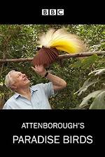 Watch Attenborough's Paradise Birds Goojara