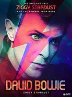 Watch David Bowie: Stardust Goojara