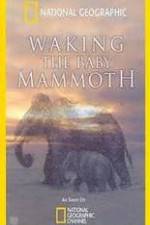 Watch Waking the Baby Mammoth Goojara