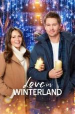 Watch Love in Winterland Goojara