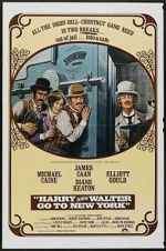 Watch Harry and Walter Go to New York Goojara