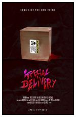 Watch Special Delivery Goojara