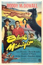 Watch Black Midnight Goojara