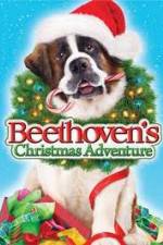 Watch Beethoven's Christmas Adventure Goojara