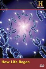 Watch How Life Began Goojara