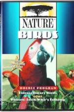 Watch PBS Nature - Extraordinary Birds Goojara