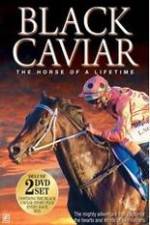 Watch Black Caviar The Races Goojara