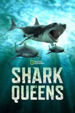 Watch Shark Queens Goojara