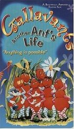 Watch Gallavants Goojara