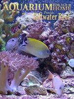 Watch Aquarium for Your Home: Saltwater Reef Goojara