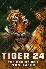 Watch Tiger 24 Goojara