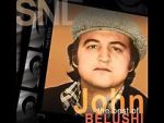 Watch Saturday Night Live: The Best of John Belushi Goojara