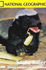 Watch National Geographic: Snake Killers Honey Badgers Of The Kalahari Goojara