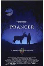 Watch Prancer Goojara