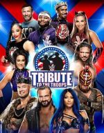 Watch WWE Tribute to the Troops Goojara