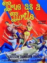 Watch True as a Turtle Goojara