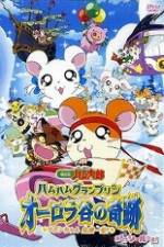 Watch Hamtaro Movie 3: Ham Ham Grand Prix Goojara