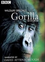 Watch Gorilla Revisited with David Attenborough Goojara