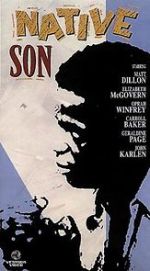 Watch Native Son Goojara