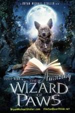 Watch The Amazing Wizard of Paws Goojara