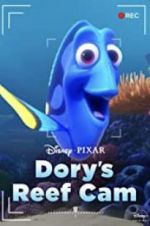Watch Dory\'s Reef Cam Goojara