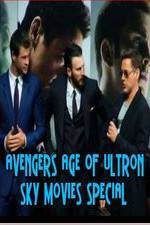 Watch Avengers Age of Ultron Sky Movies Special Goojara