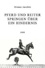 Watch Pferd und Reiter Springen über ein Hindernis Goojara