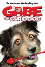 Watch Gabe the Cupid Dog Goojara