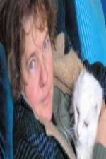 Watch Ciao Meow Goojara