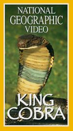 Watch King Cobra Goojara