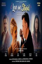 Watch Love Me Stupid Goojara