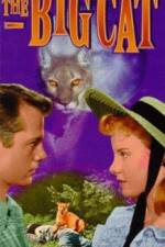 Watch The Big Cat Goojara