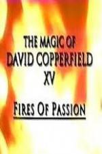 Watch The Magic of David Copperfield XV Fires of Passion Goojara