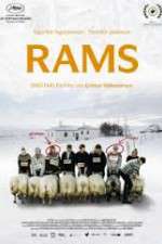 Watch Hrútar Goojara