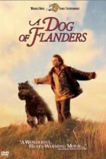 Watch A Dog of Flanders Goojara
