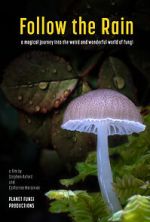 Watch Follow the Rain Goojara